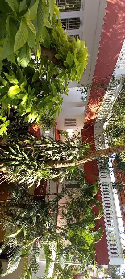Daphne Hotel Mahabalipuram Exterior foto