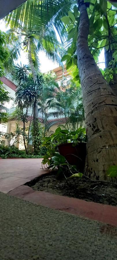 Daphne Hotel Mahabalipuram Exterior foto