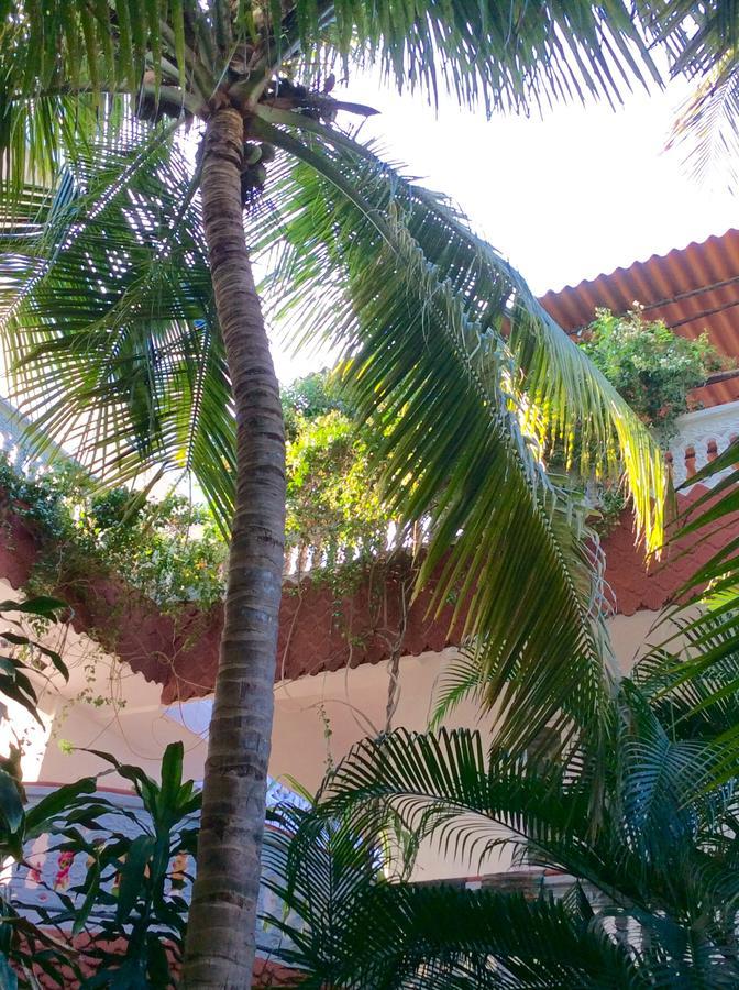 Daphne Hotel Mahabalipuram Exterior foto